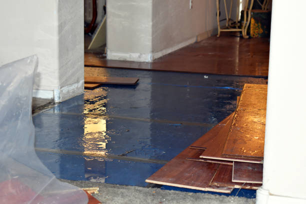 Professional Storm Water Damage Restoration technician working in Darlington, WI
